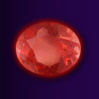 Doomlord new auction items